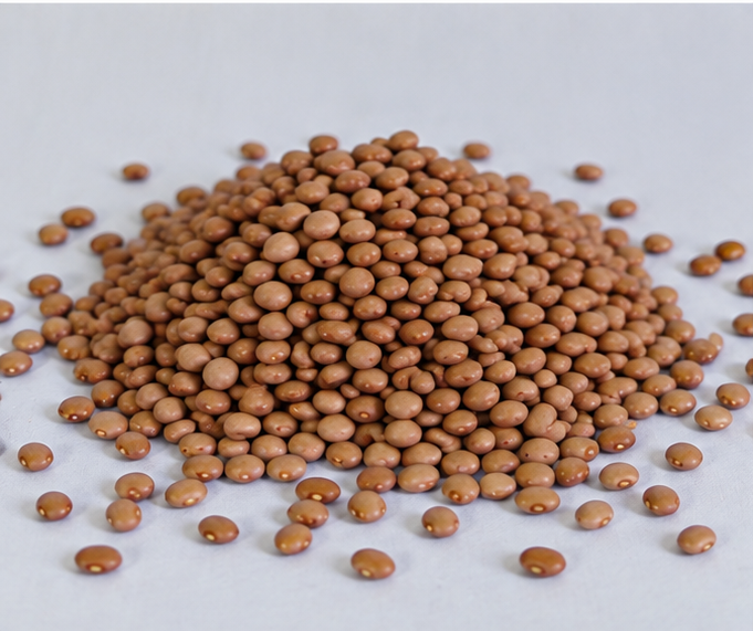 Beans of Logar  7Kg