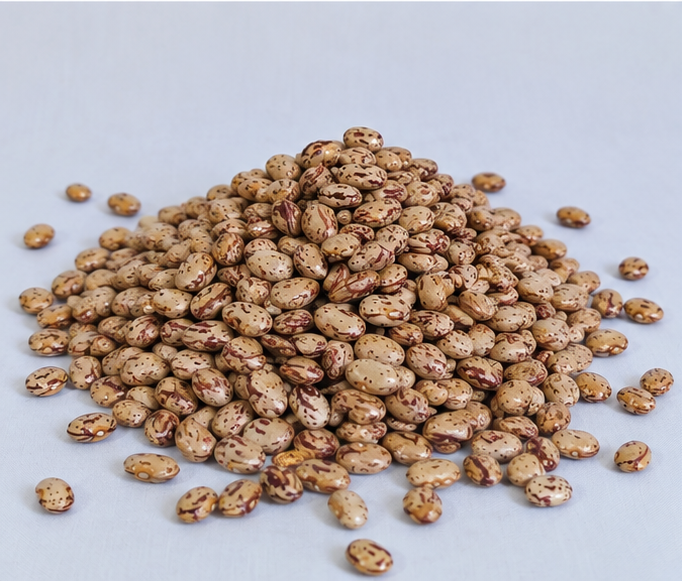  Beans Cheeti 7Kg